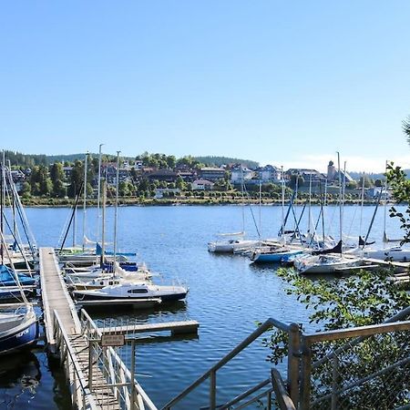Fewo Sperlingskauz Mit Pool, Sauna & Hochschwarzwaldcard Schluchsee Exterior foto