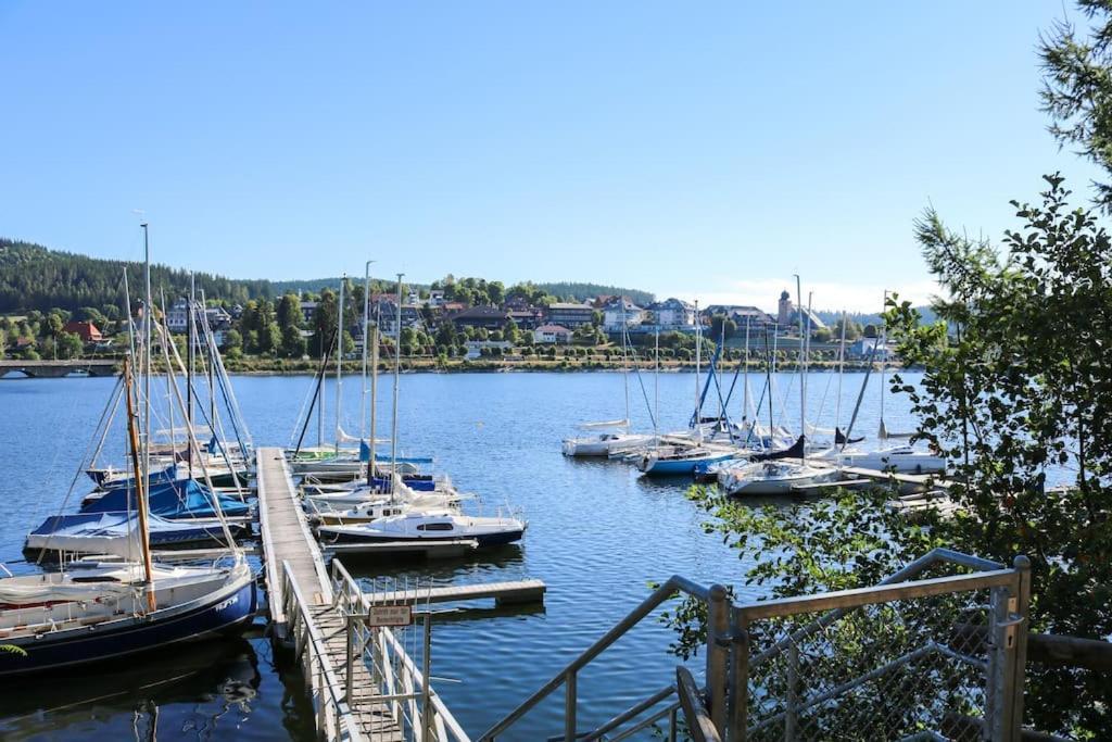 Fewo Sperlingskauz Mit Pool, Sauna & Hochschwarzwaldcard Schluchsee Exterior foto