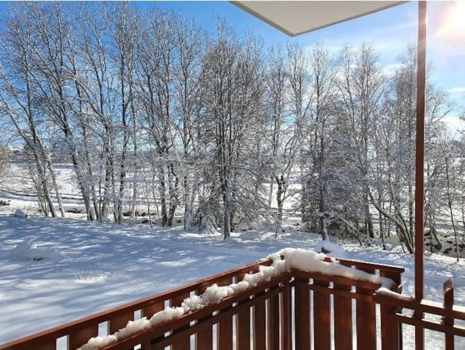 Fewo Sperlingskauz Mit Pool, Sauna & Hochschwarzwaldcard Schluchsee Exterior foto