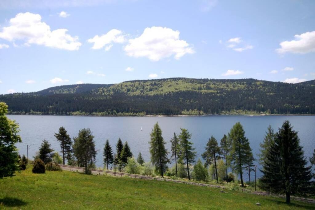 Fewo Sperlingskauz Mit Pool, Sauna & Hochschwarzwaldcard Schluchsee Exterior foto