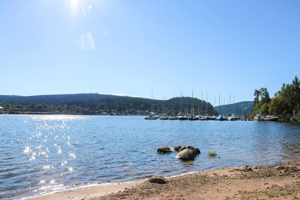 Fewo Sperlingskauz Mit Pool, Sauna & Hochschwarzwaldcard Schluchsee Exterior foto