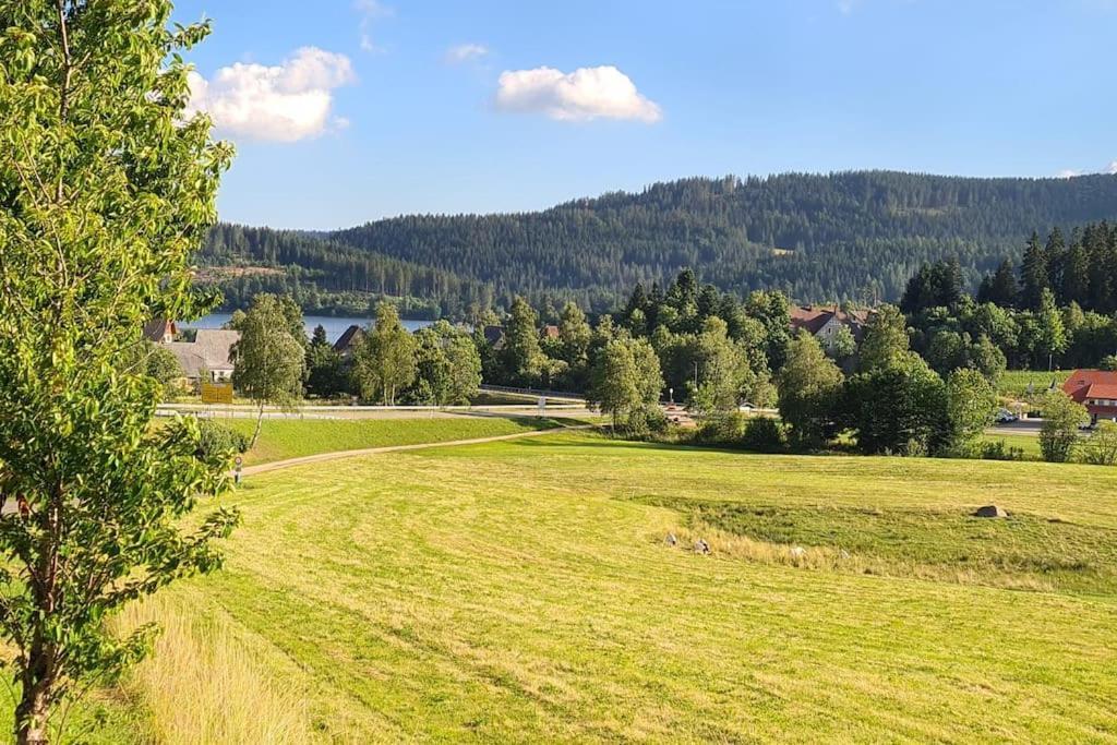 Fewo Sperlingskauz Mit Pool, Sauna & Hochschwarzwaldcard Schluchsee Exterior foto