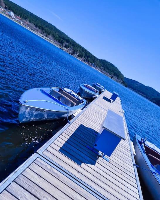 Fewo Sperlingskauz Mit Pool, Sauna & Hochschwarzwaldcard Schluchsee Exterior foto
