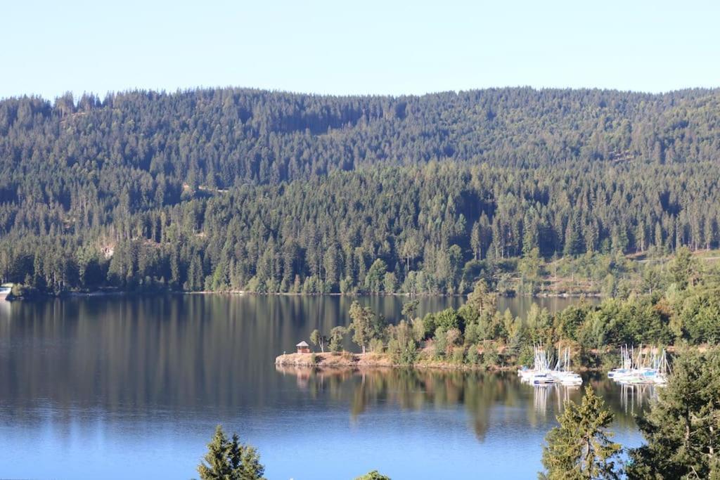 Fewo Sperlingskauz Mit Pool, Sauna & Hochschwarzwaldcard Schluchsee Exterior foto