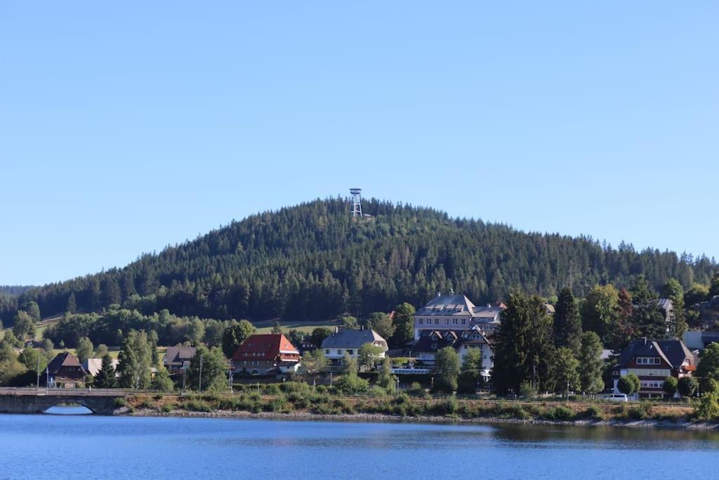 Fewo Sperlingskauz Mit Pool, Sauna & Hochschwarzwaldcard Schluchsee Exterior foto