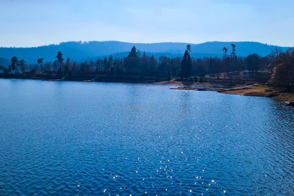 Fewo Sperlingskauz Mit Pool, Sauna & Hochschwarzwaldcard Schluchsee Exterior foto