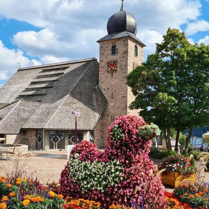 Fewo Sperlingskauz Mit Pool, Sauna & Hochschwarzwaldcard Schluchsee Exterior foto