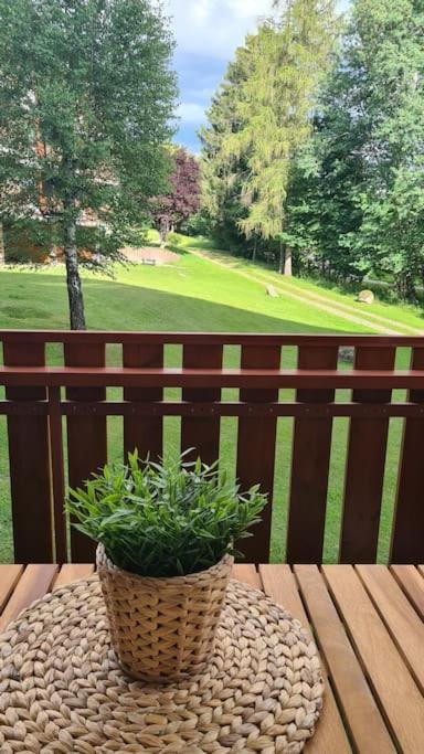 Fewo Sperlingskauz Mit Pool, Sauna & Hochschwarzwaldcard Schluchsee Exterior foto